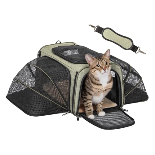 Expandable Airline-Approved Pet Carrier