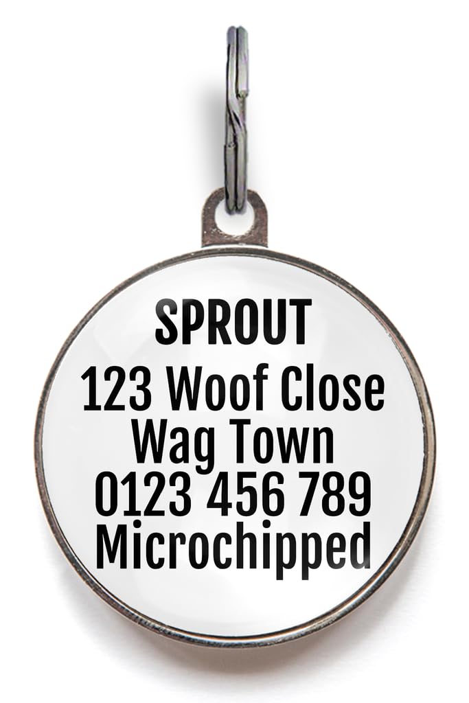 Personalized Playing Card Pet ID Tag
