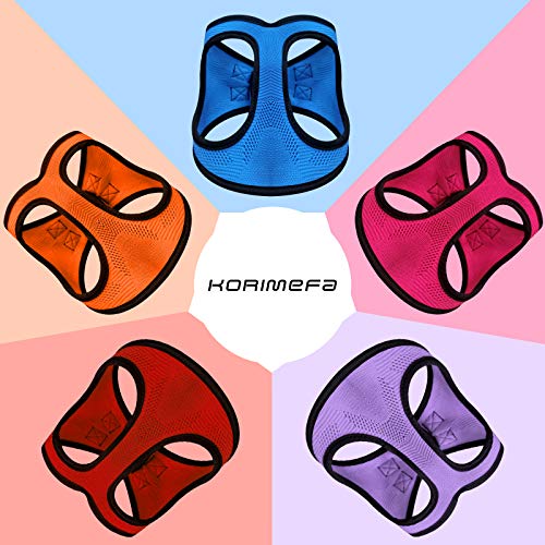 Breathable No Pull Dog Harness with Leash
