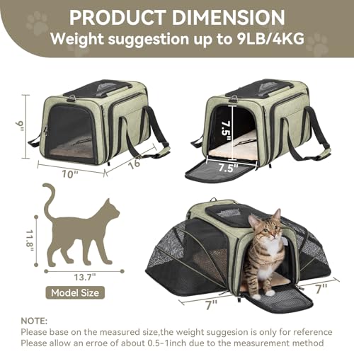 Expandable Airline-Approved Pet Carrier
