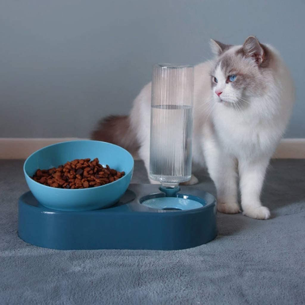 Automatic Pet Feeding & Water Bowl