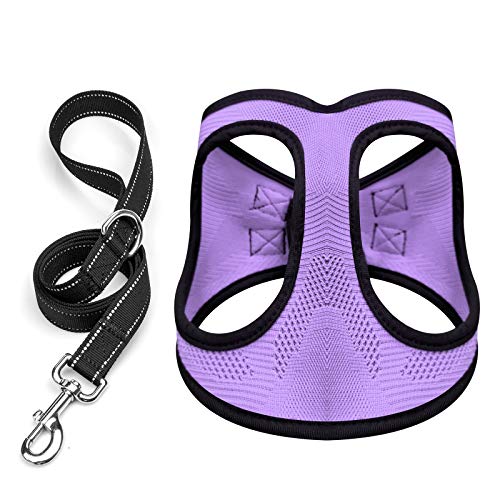 Breathable No Pull Dog Harness with Leash