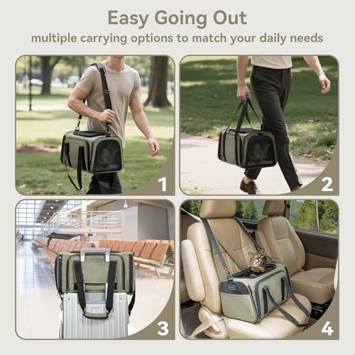 Expandable Airline-Approved Pet Carrier