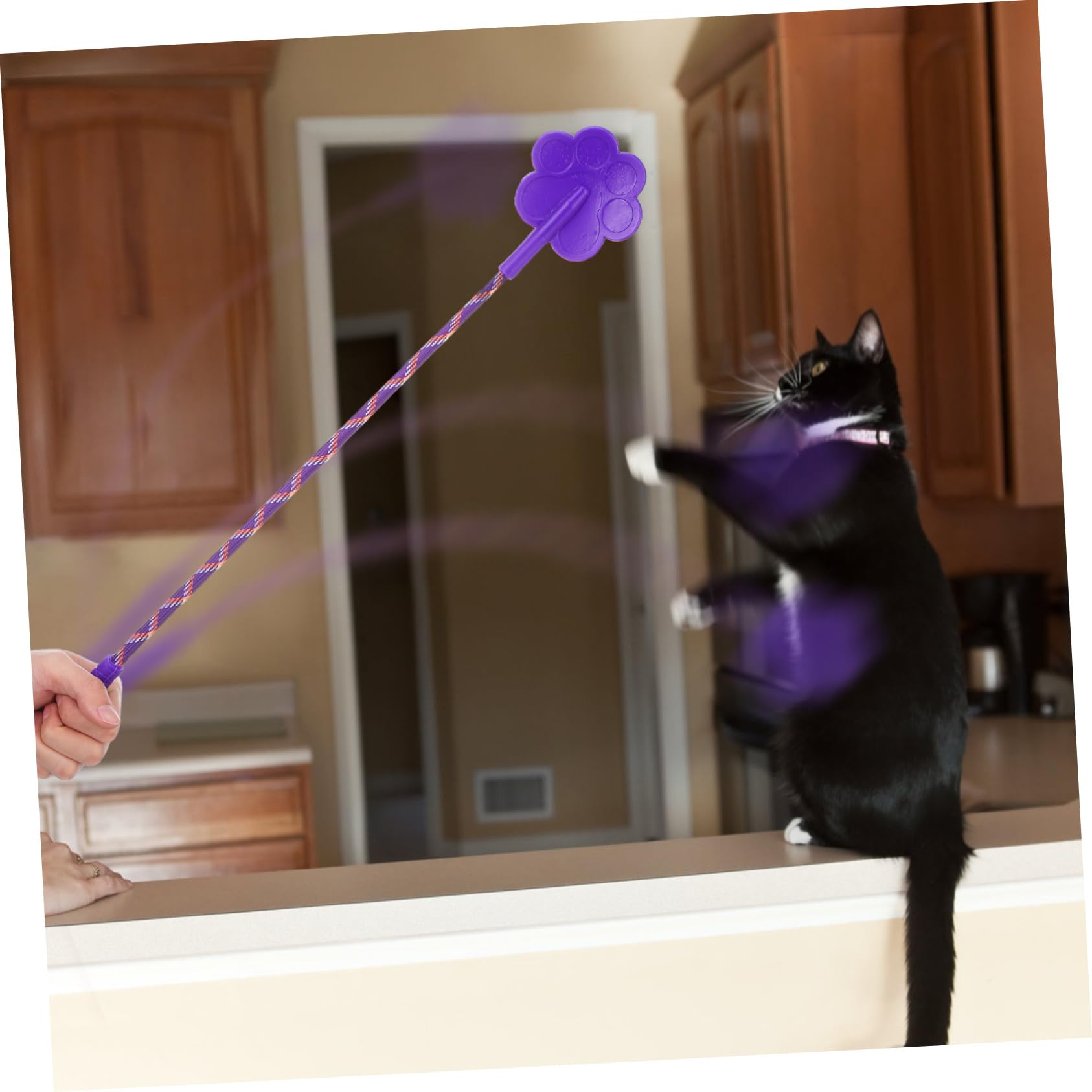Pet Training Clicker Set