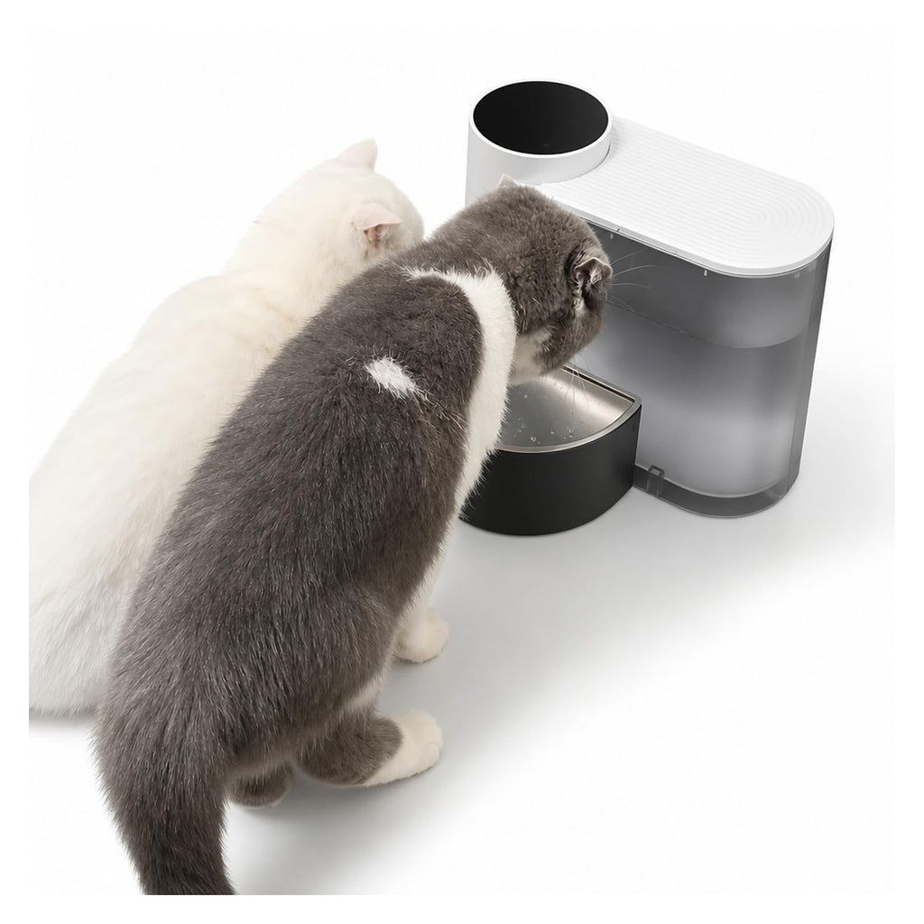 Cat Water Fountain, Pet Water Dispenser