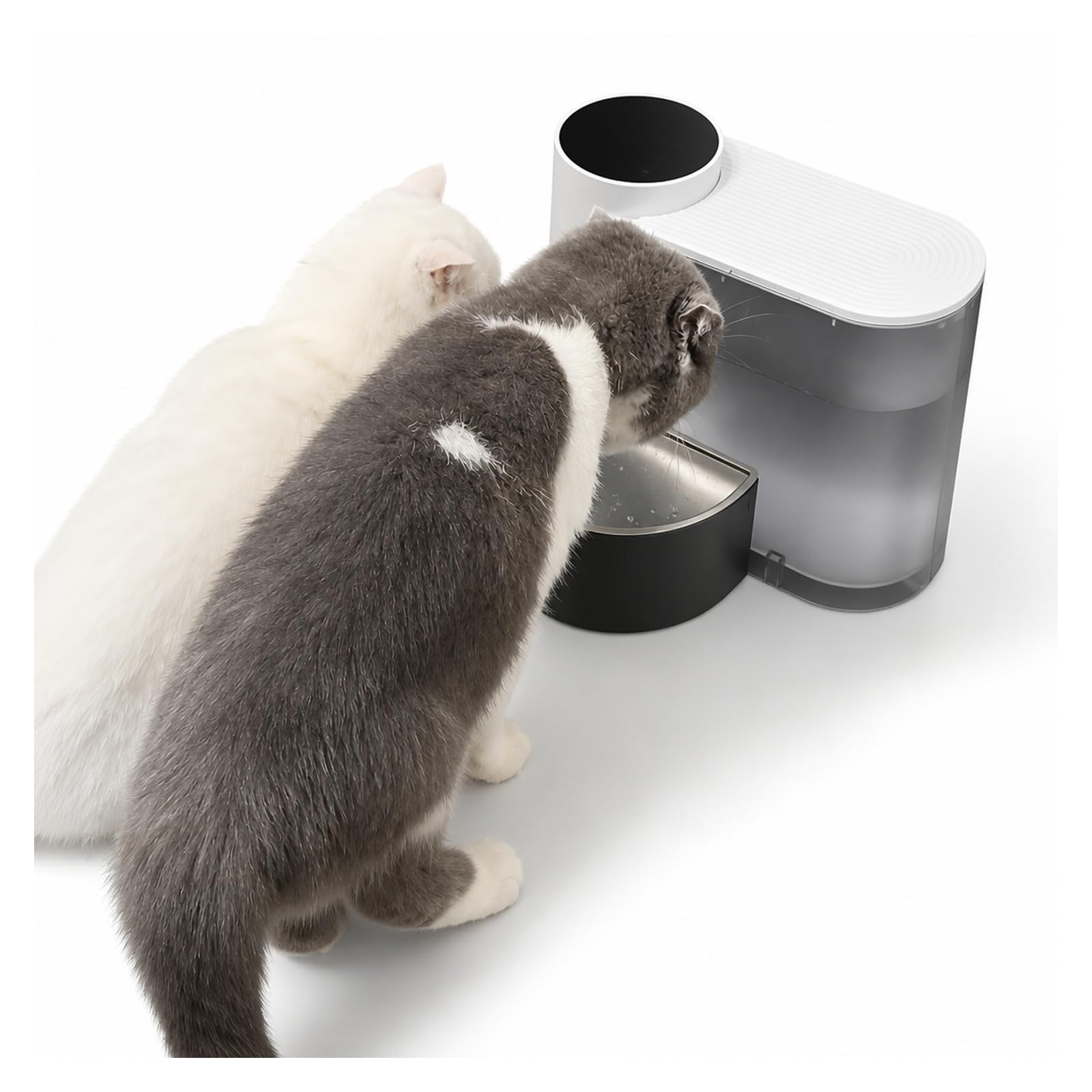 Cat Water Fountain, Pet Water Dispenser