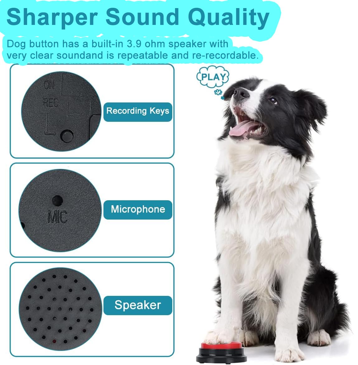 Dog Communication Buttons with Voice Recording