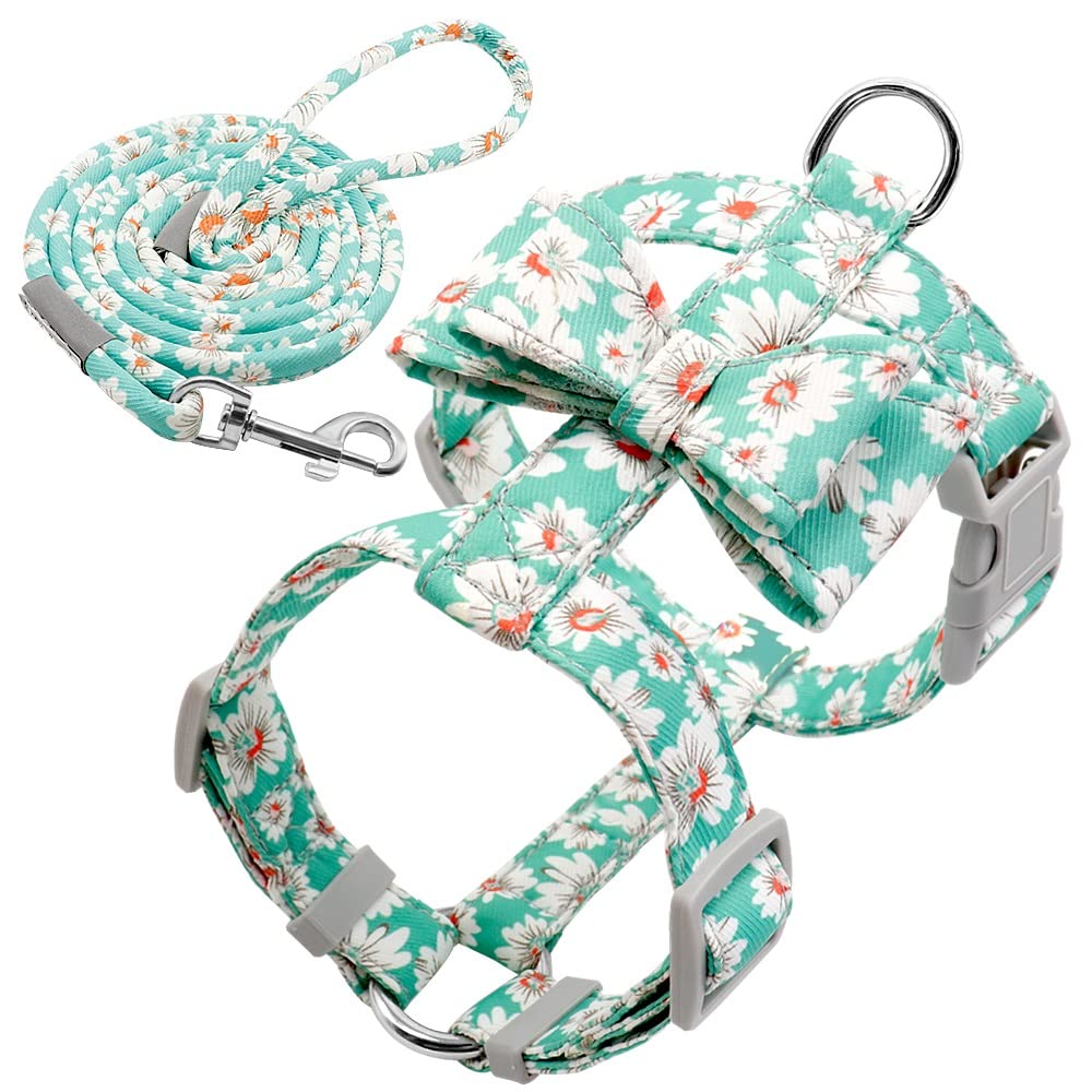 Adjustable Dog Harness and Leash Set