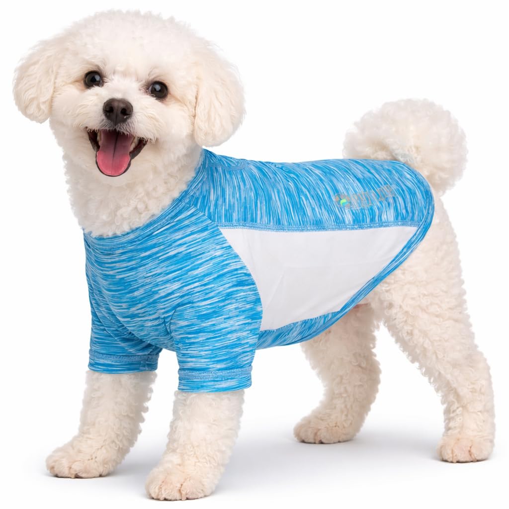 Quick-Dry Reflective Performance Dog T-Shirt