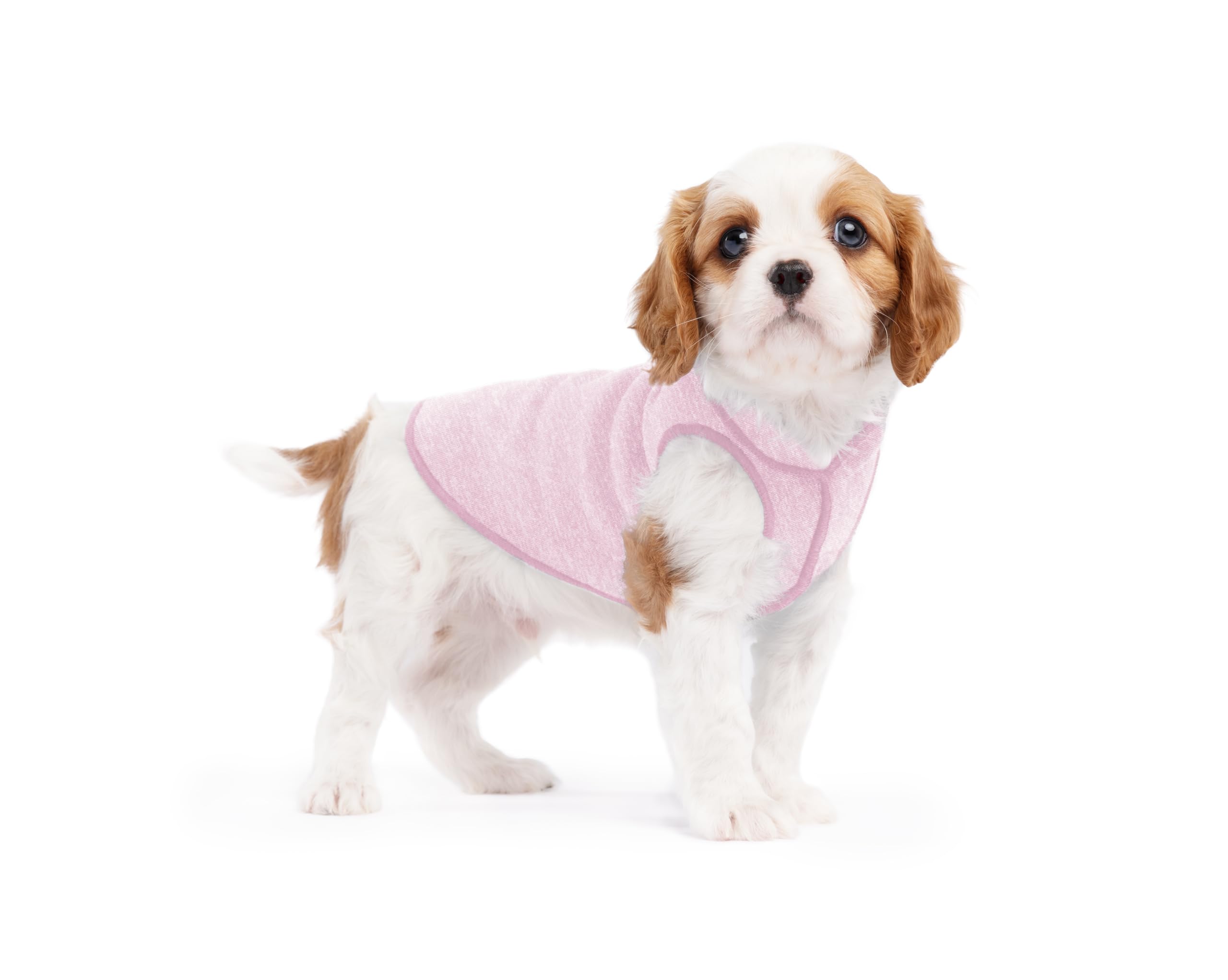 Lightweight UV Protection Dog Sun Shirt
