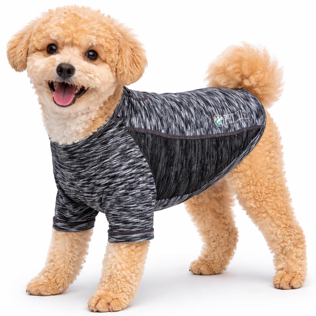 Quick-Dry Reflective Performance Dog T-Shirt