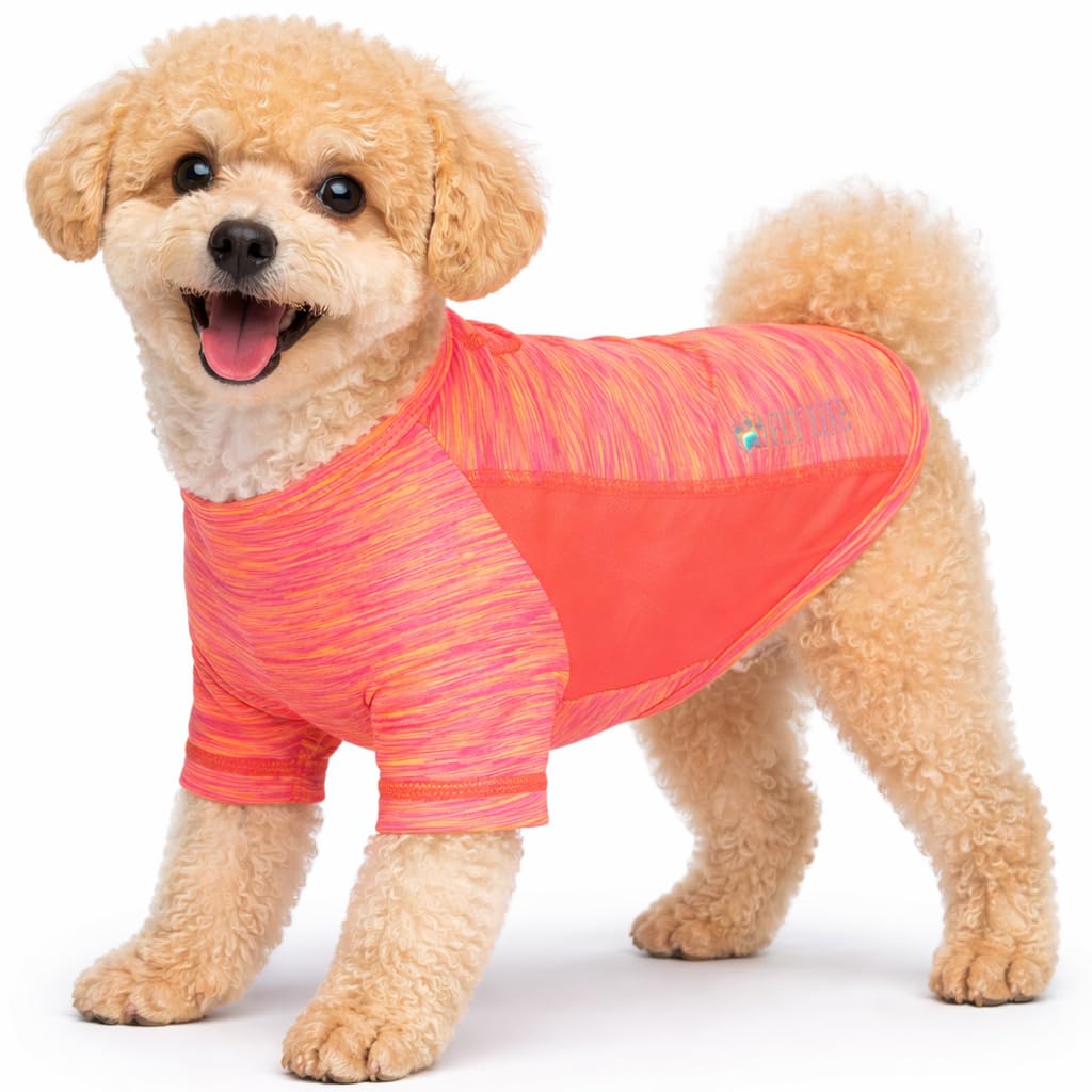Quick-Dry Reflective Performance Dog T-Shirt