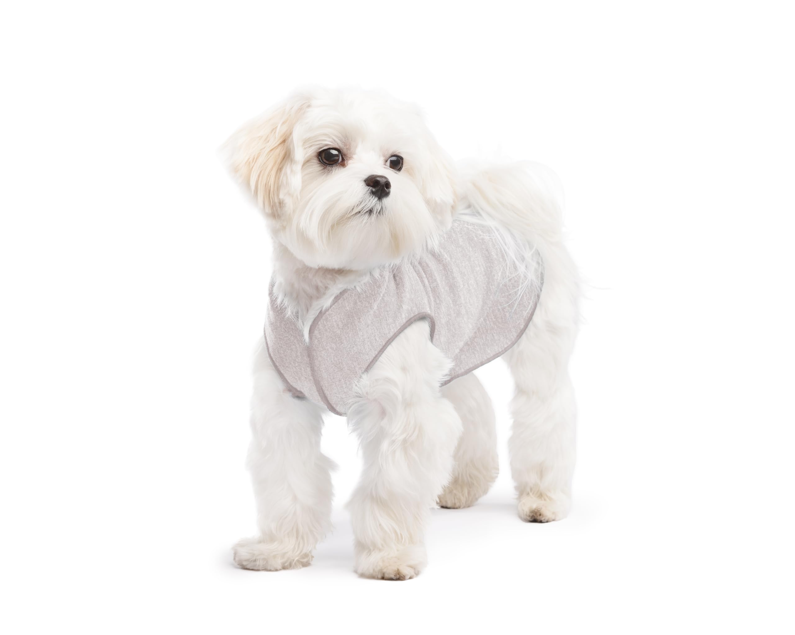 Lightweight UV Protection Dog Sun Shirt