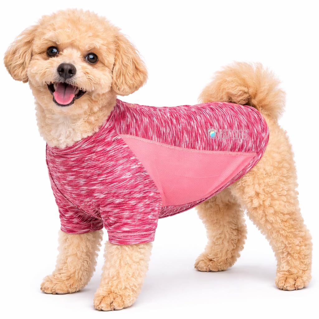 Quick-Dry Reflective Performance Dog T-Shirt