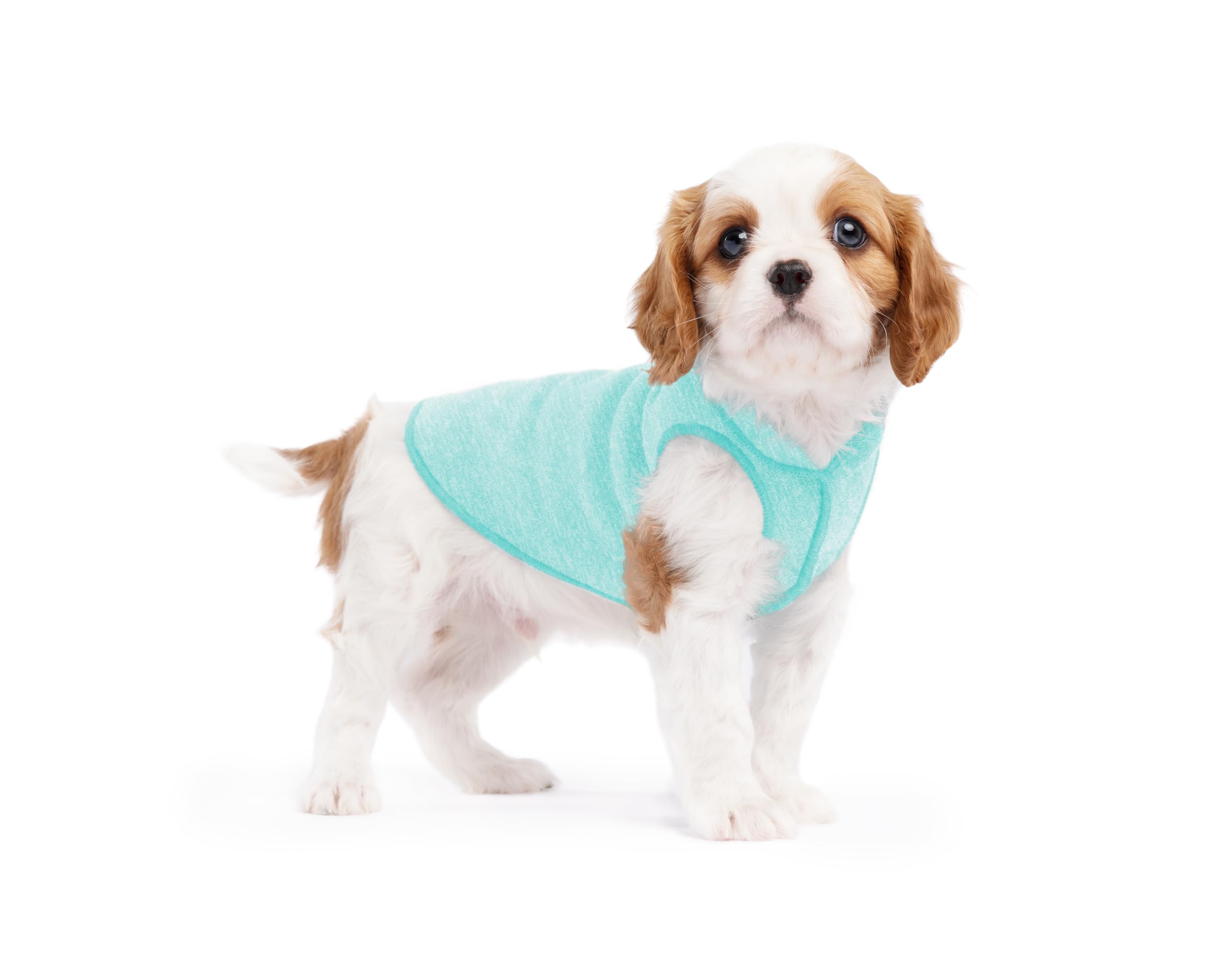 Lightweight UV Protection Dog Sun Shirt