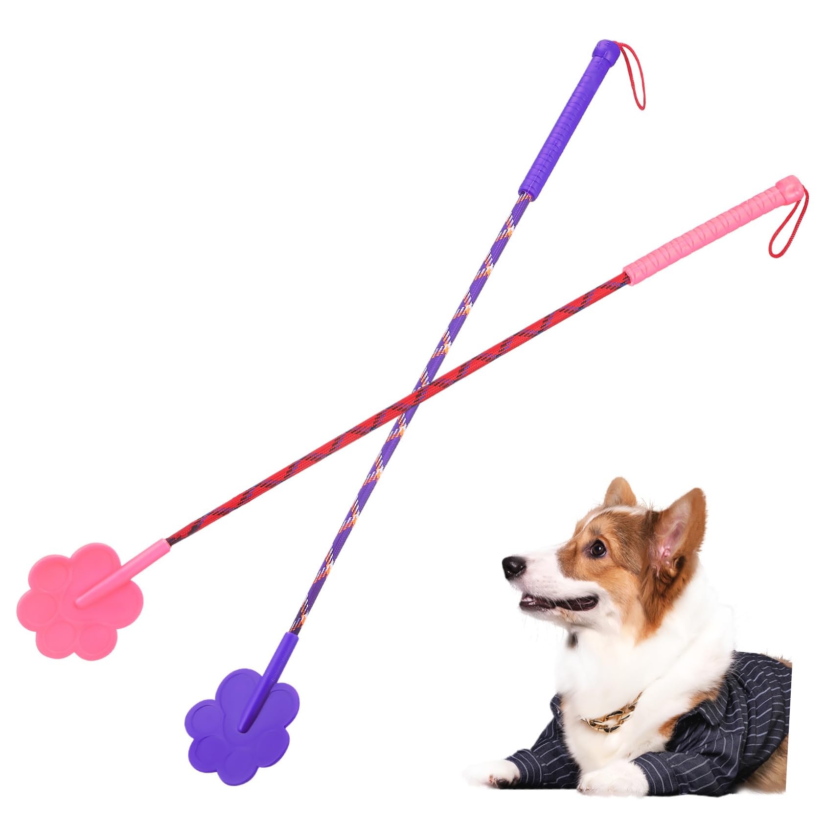 Pet Training Clicker Set