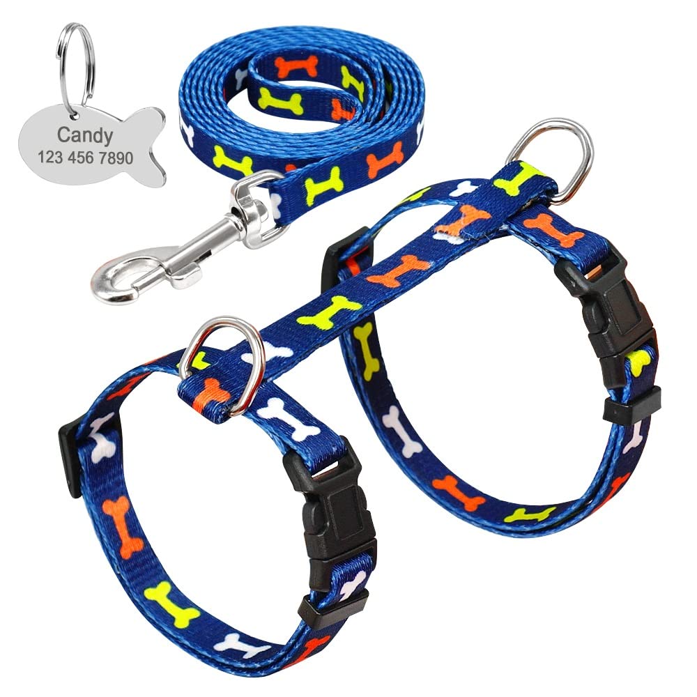 Custom Printed Pet Harness and Leash Set