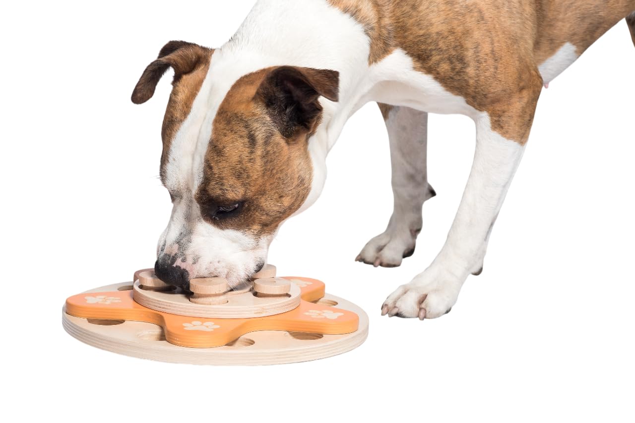 My Intelligent Dogs Interactive Toys
