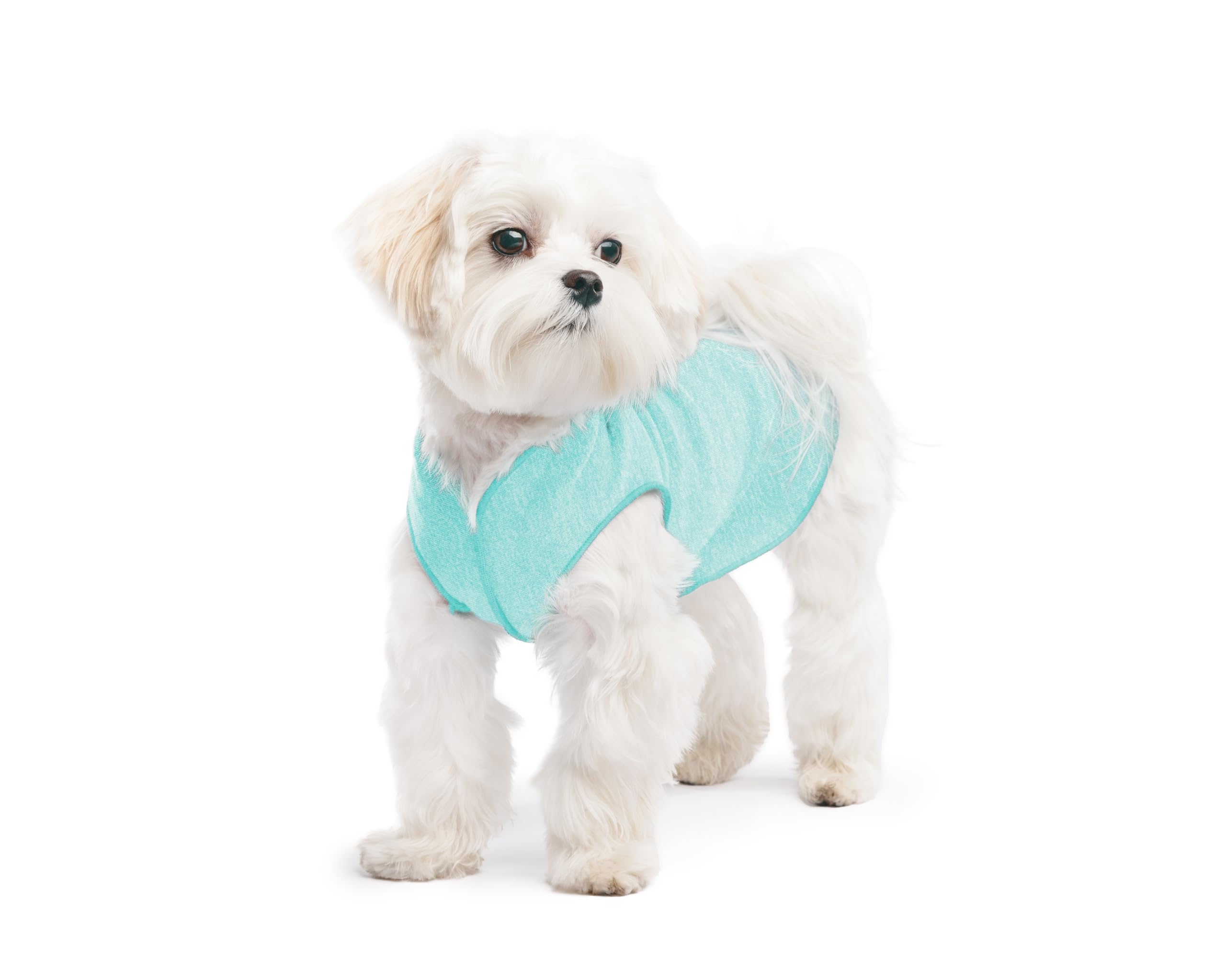 Lightweight UV Protection Dog Sun Shirt