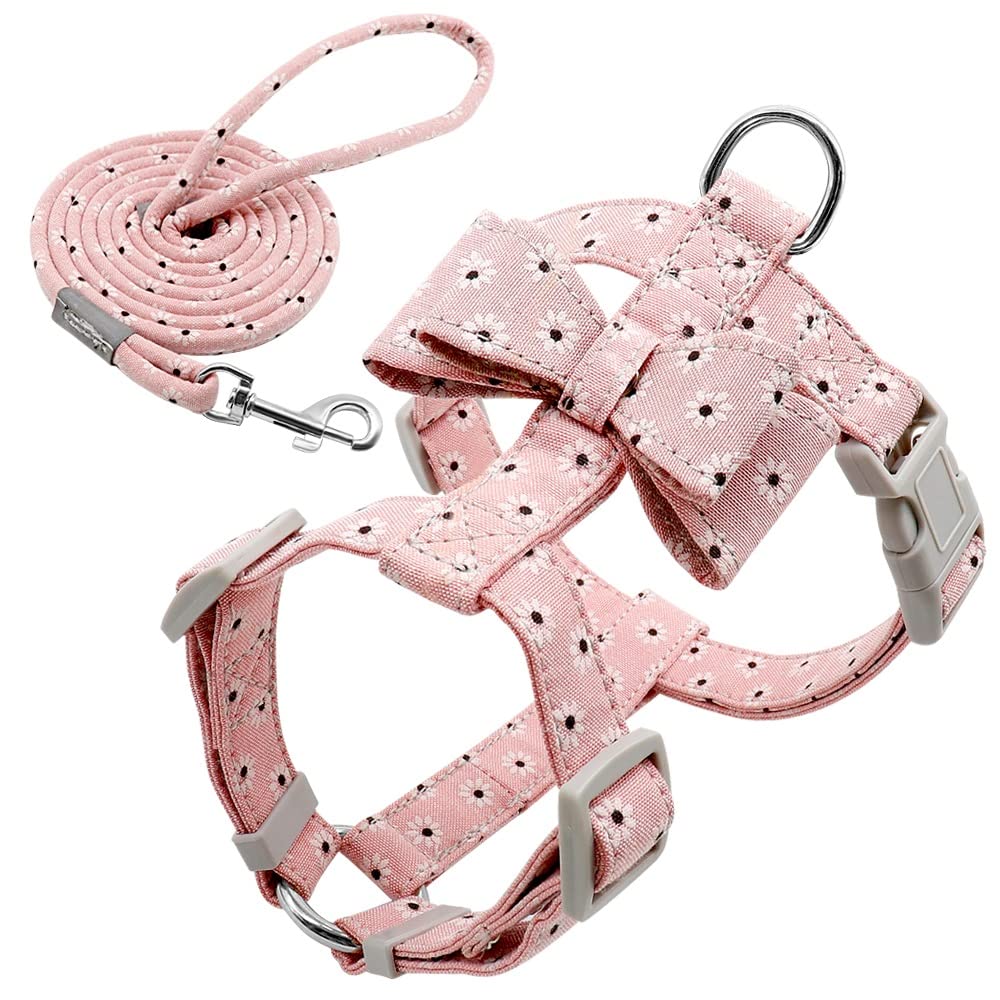 Adjustable Dog Harness and Leash Set