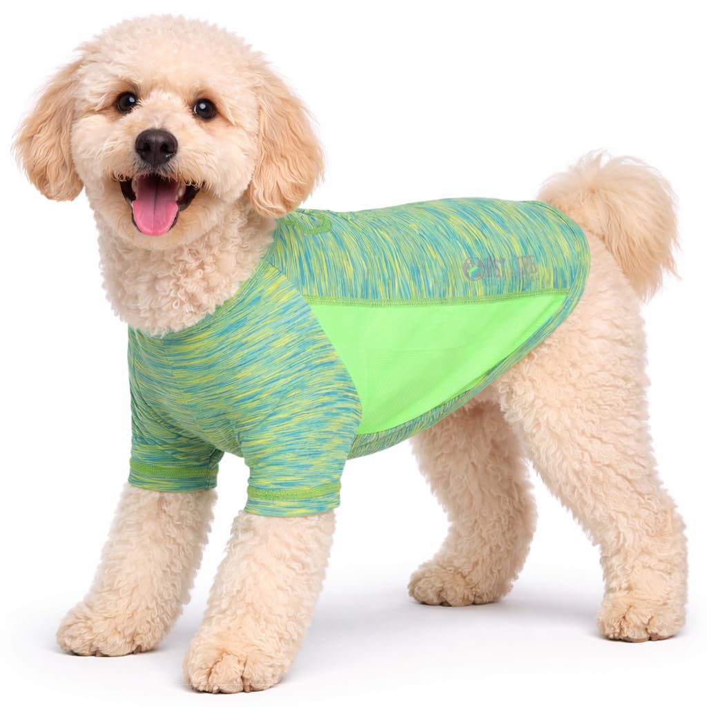 Quick-Dry Reflective Performance Dog T-Shirt