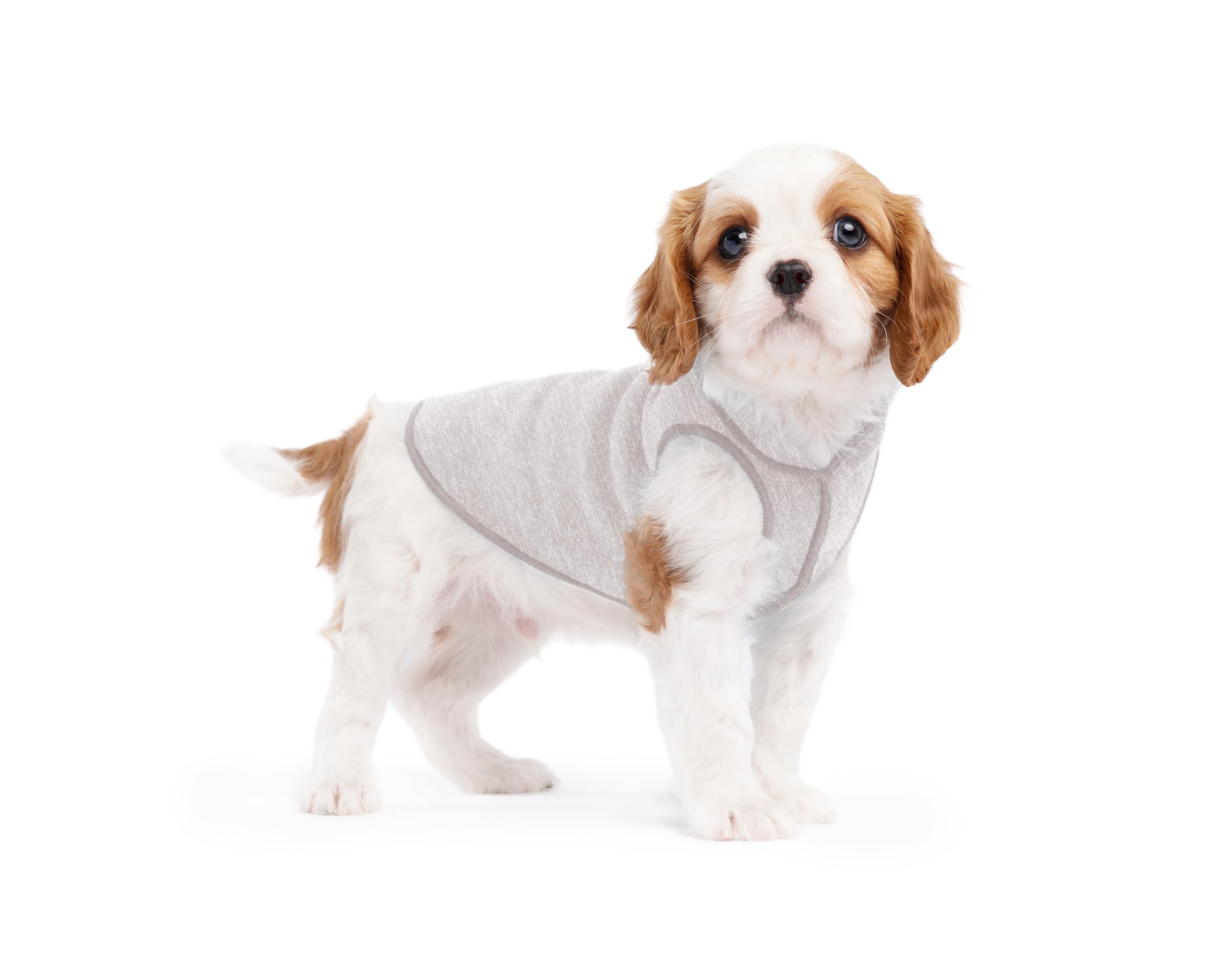 Lightweight UV Protection Dog Sun Shirt