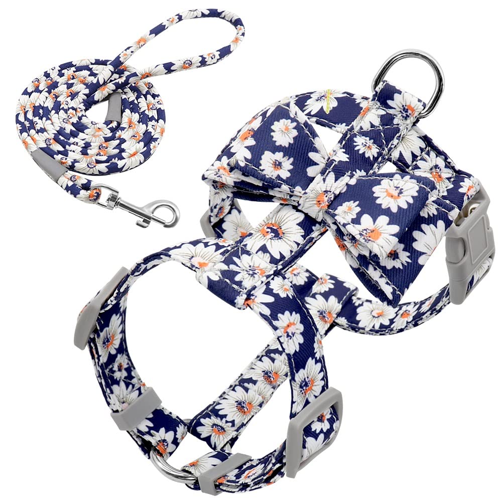 Adjustable Dog Harness and Leash Set
