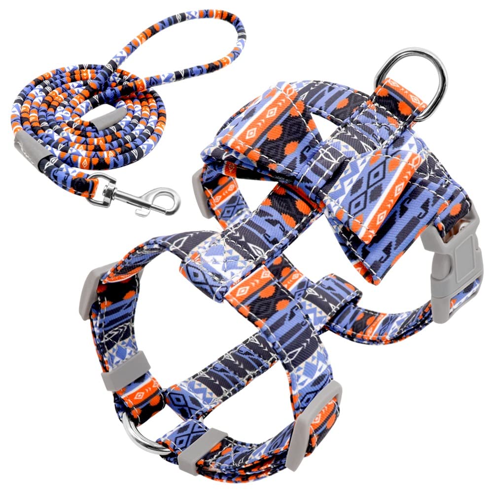 Adjustable Dog Harness and Leash Set