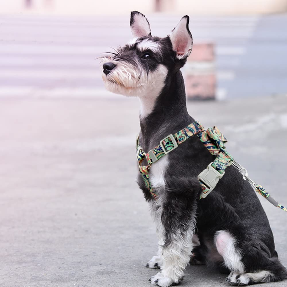 Adjustable Dog Harness and Leash Set