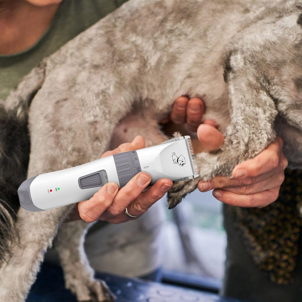 Cordless Low Noise Dog Clipper Kit