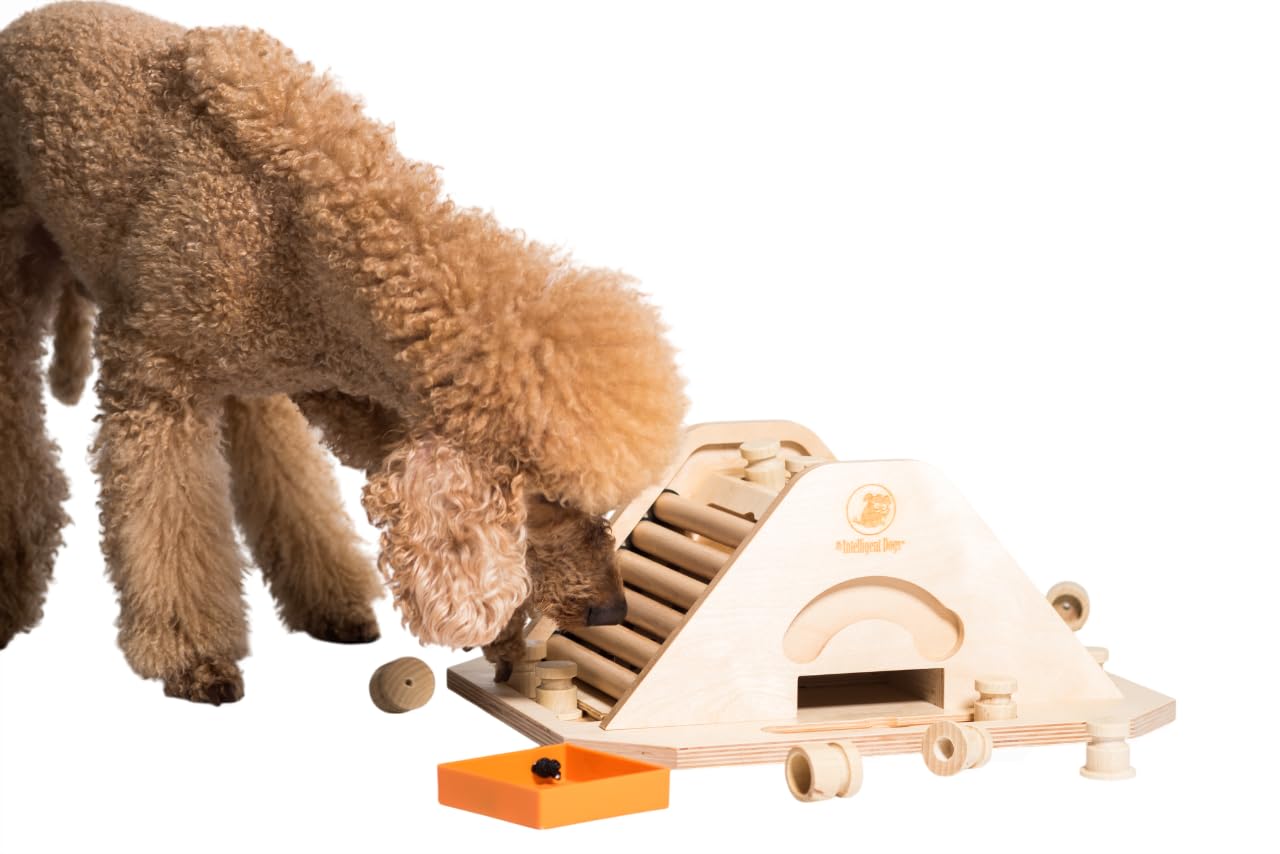 My Intelligent Dogs Interactive Toys