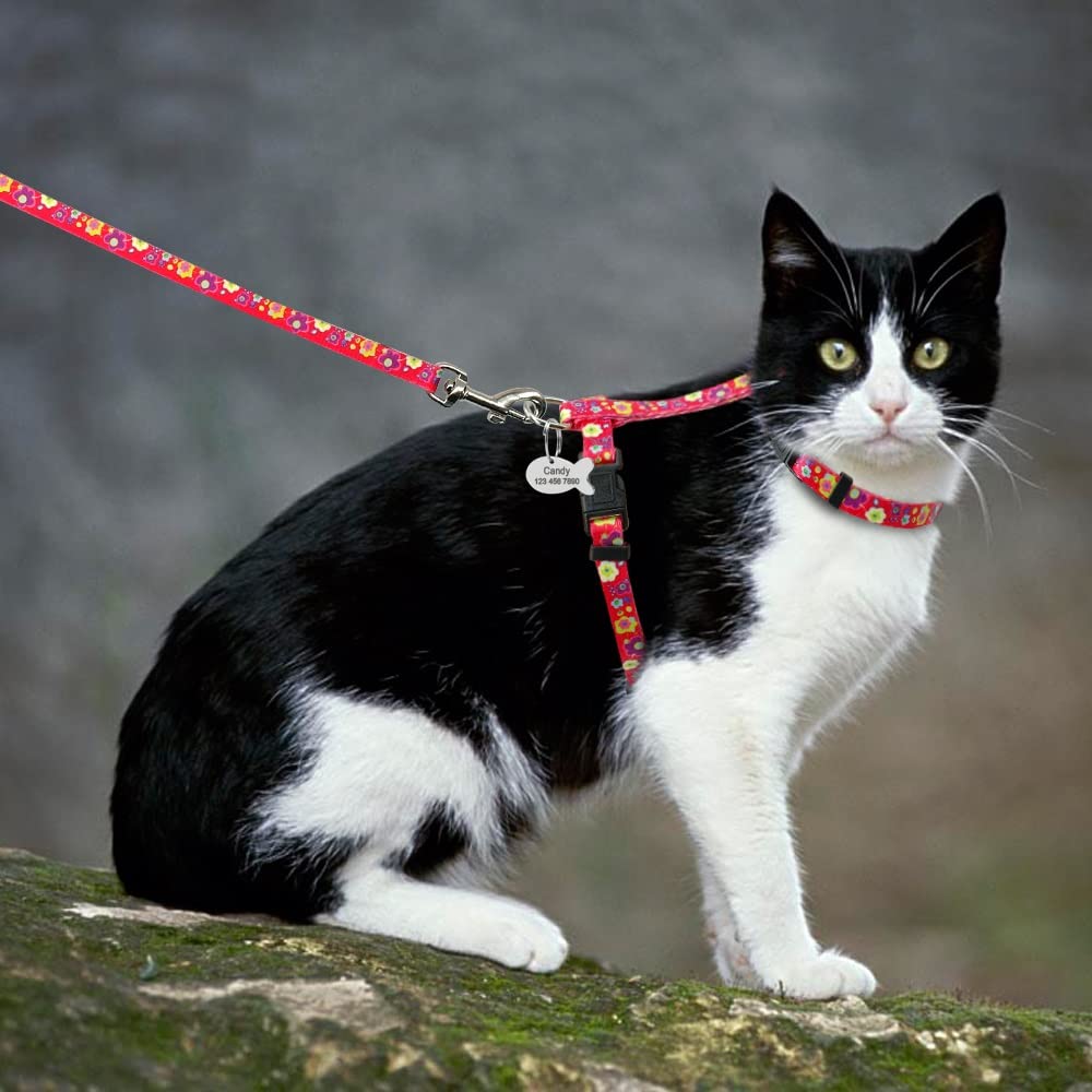 Custom Printed Pet Harness and Leash Set