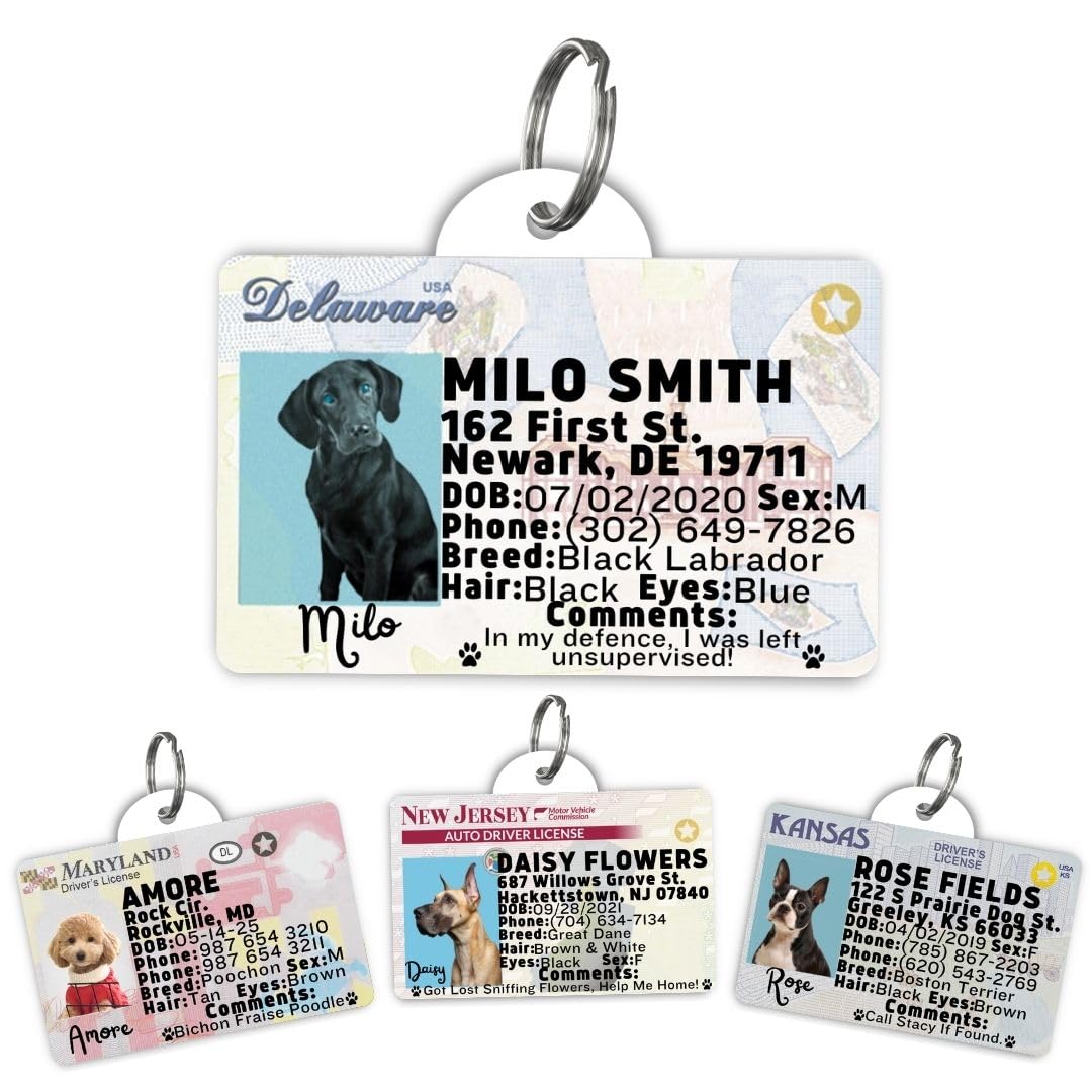 Personalized Pet ID Tag