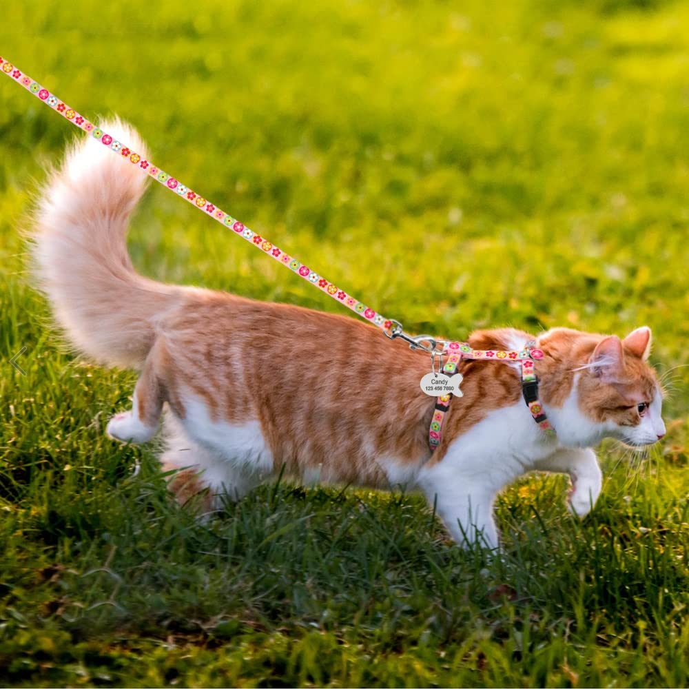 Custom Printed Pet Harness and Leash Set