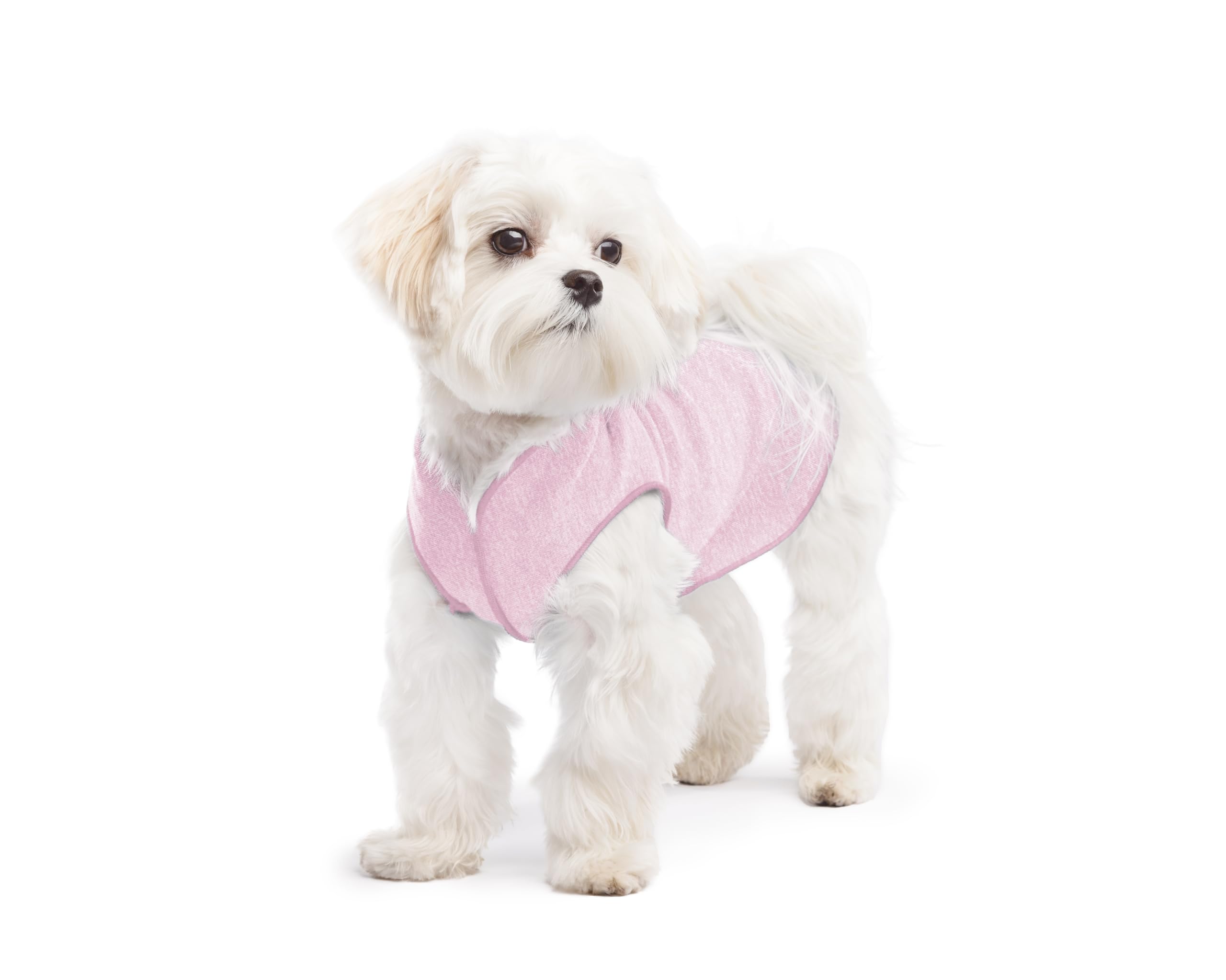 Lightweight UV Protection Dog Sun Shirt