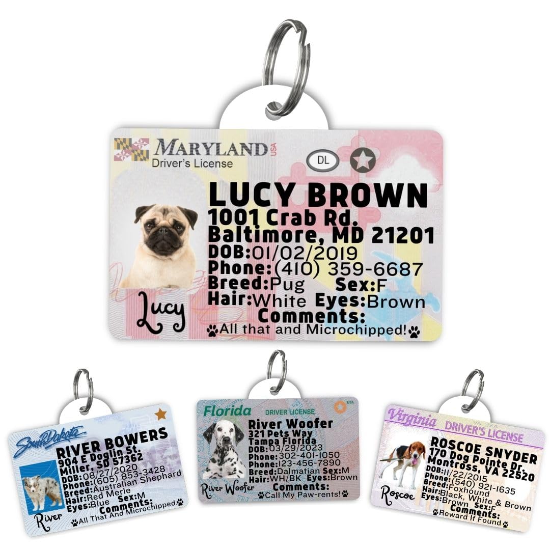 Personalized Pet ID Tag