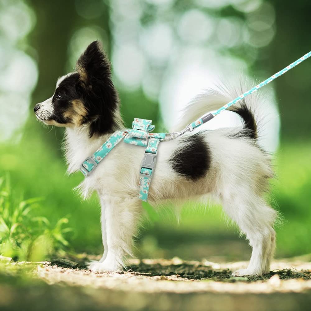 Adjustable Dog Harness and Leash Set