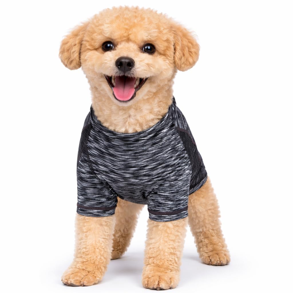 Quick-Dry Reflective Performance Dog T-Shirt