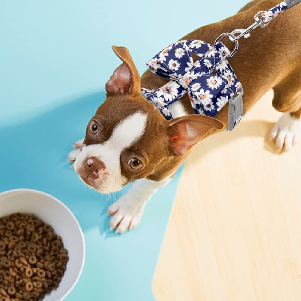 Adjustable Dog Harness and Leash Set