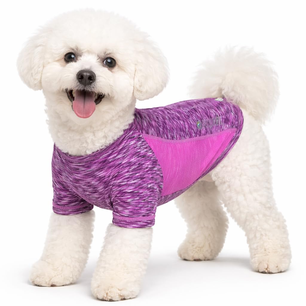 Quick-Dry Reflective Performance Dog T-Shirt