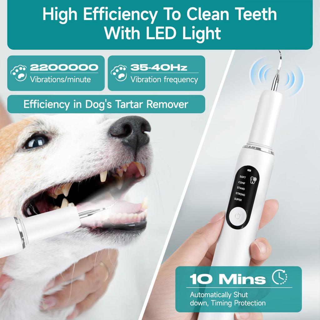 Electric Pet Plaque Remover