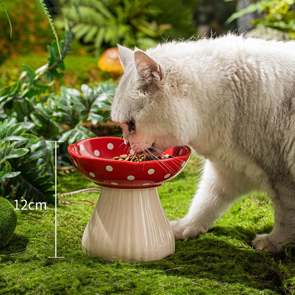 Non-Slip Ceramic Double Pet Bowl Set