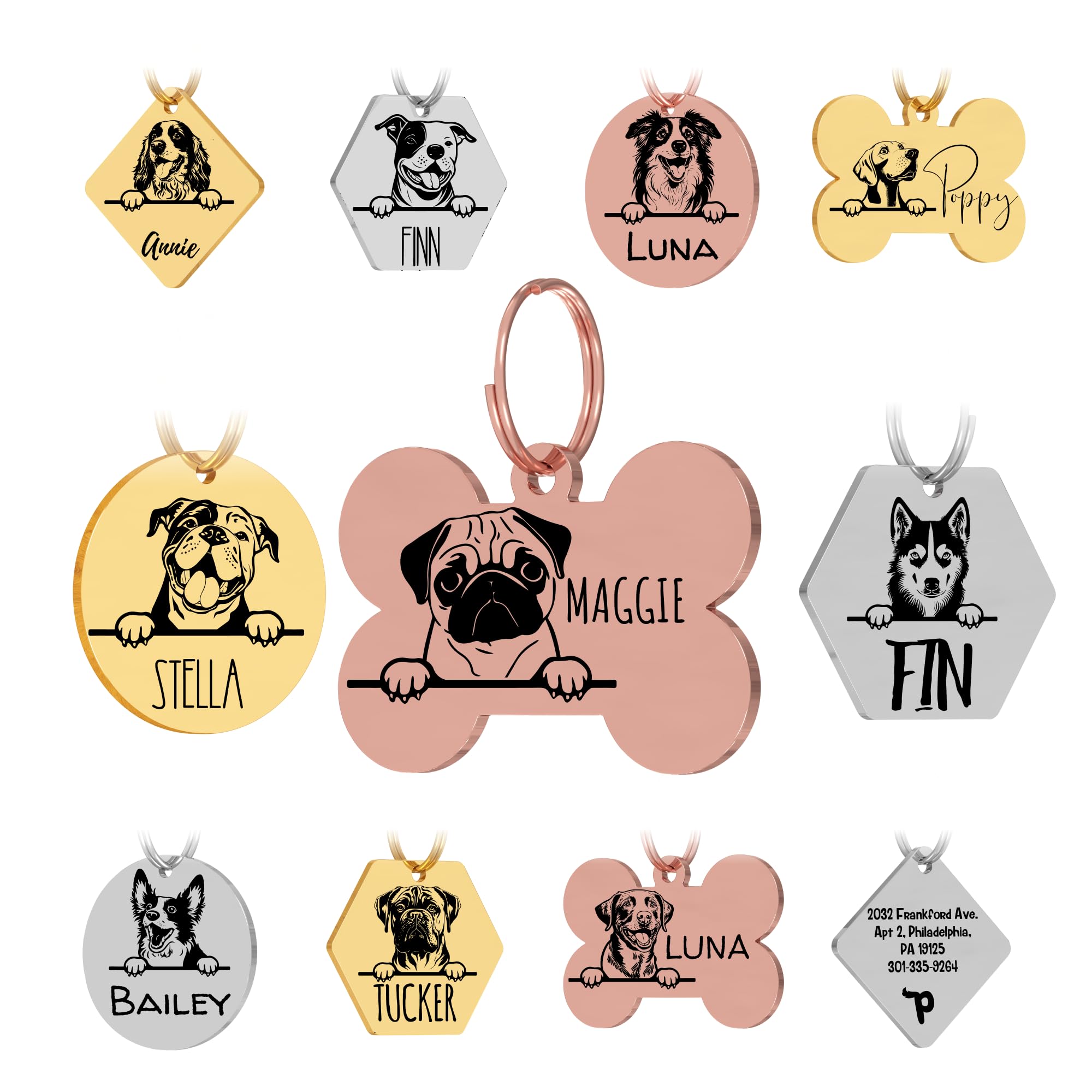 Personalized Stainless Steel Dog ID Tag