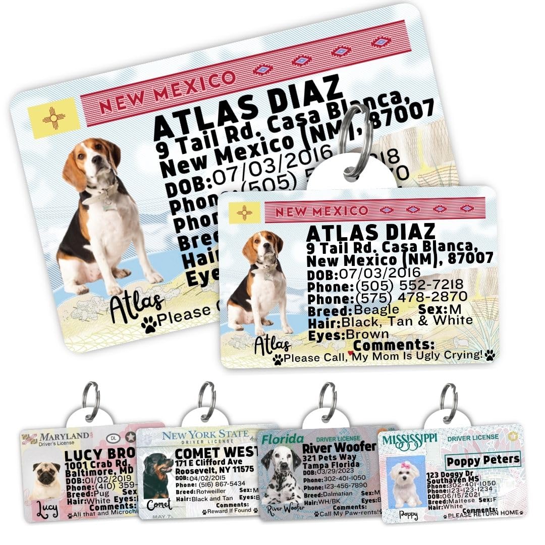 Personalized Pet ID Tag