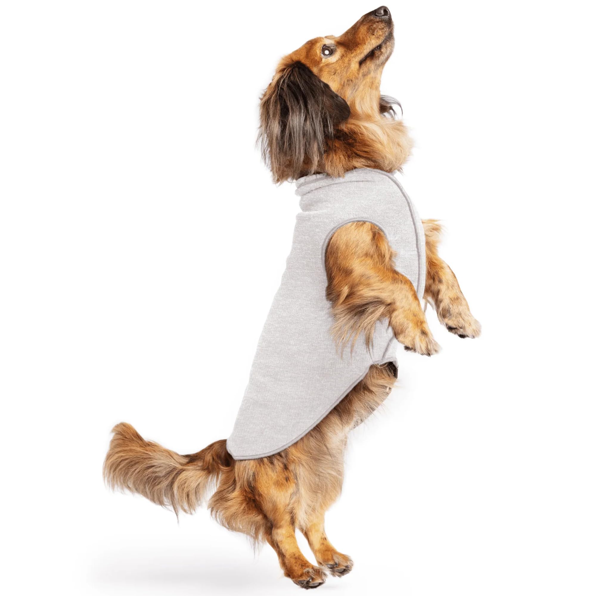 Lightweight UV Protection Dog Sun Shirt