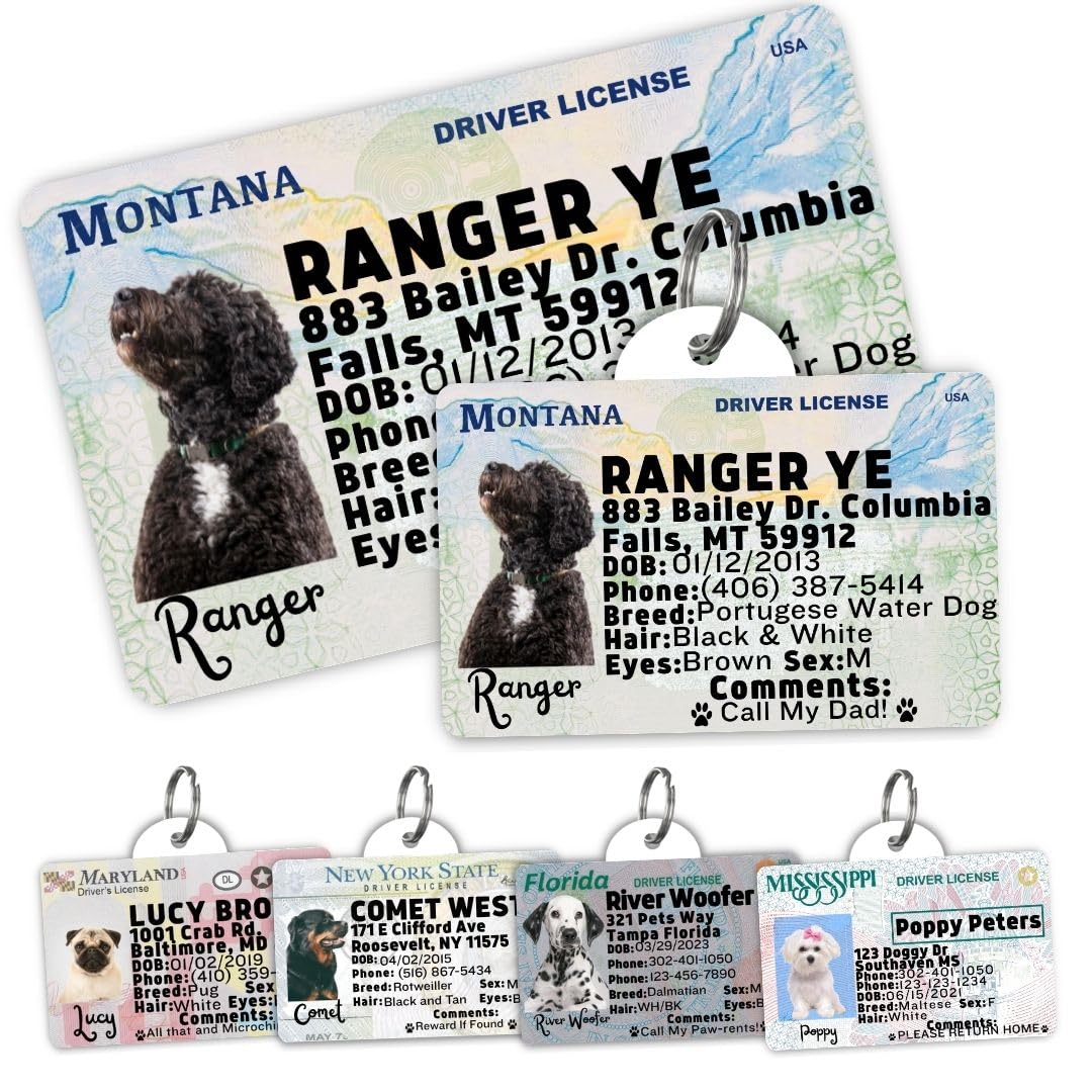 Personalized Pet ID Tag