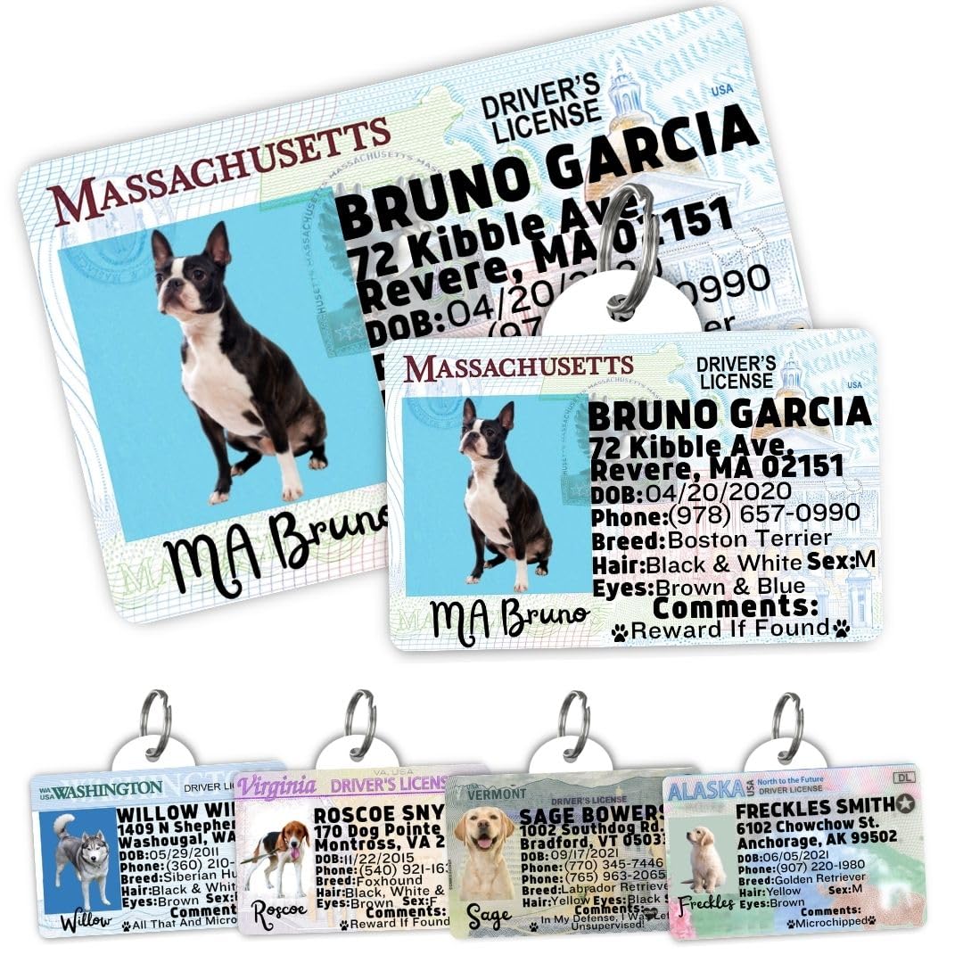 Personalized Pet ID Tag