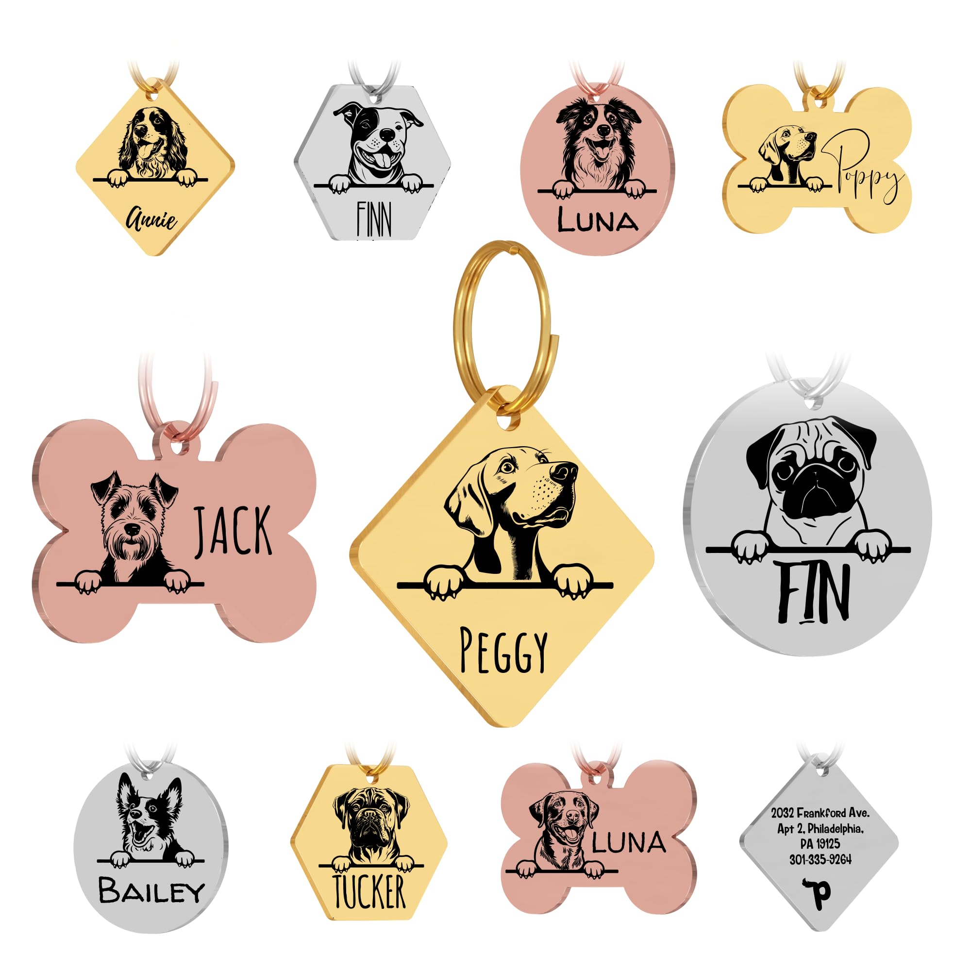 Personalized Stainless Steel Dog ID Tag