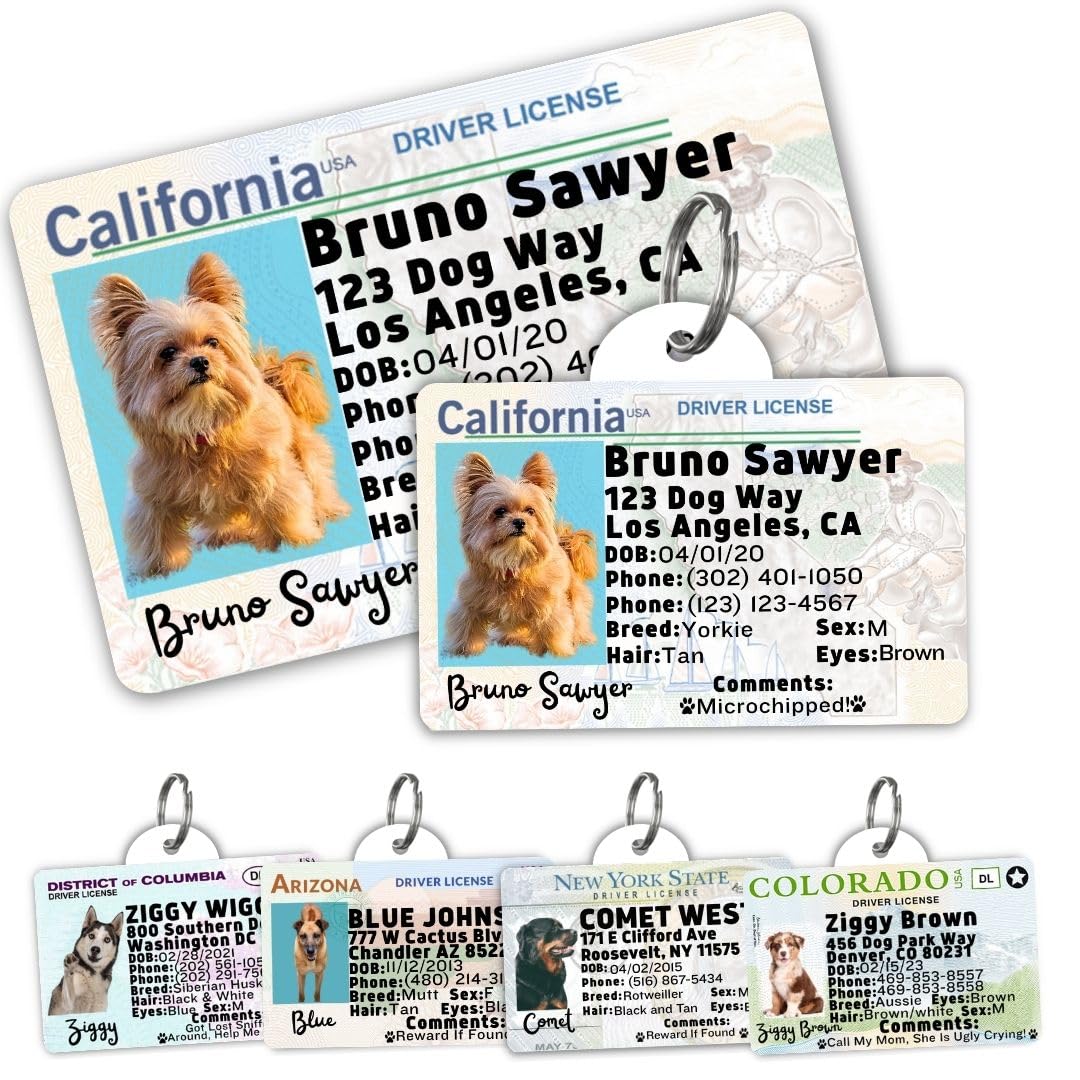 Personalized Pet ID Tag