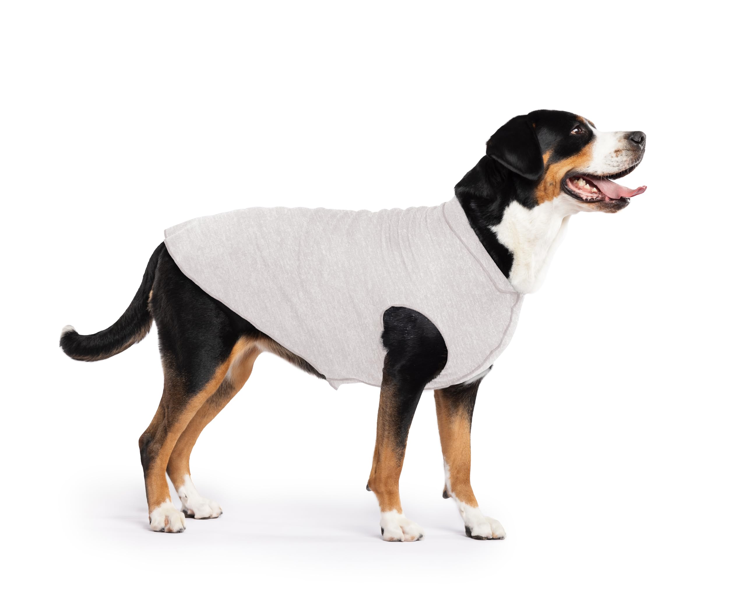 Lightweight UV Protection Dog Sun Shirt